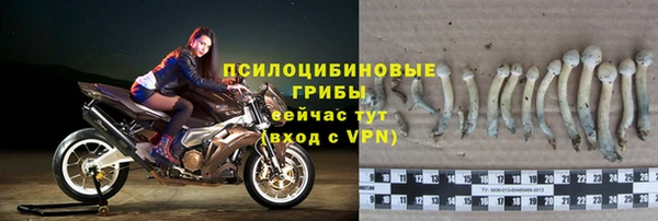 мдма Приозерск